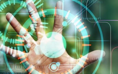 Where Does R&D Begin and End?